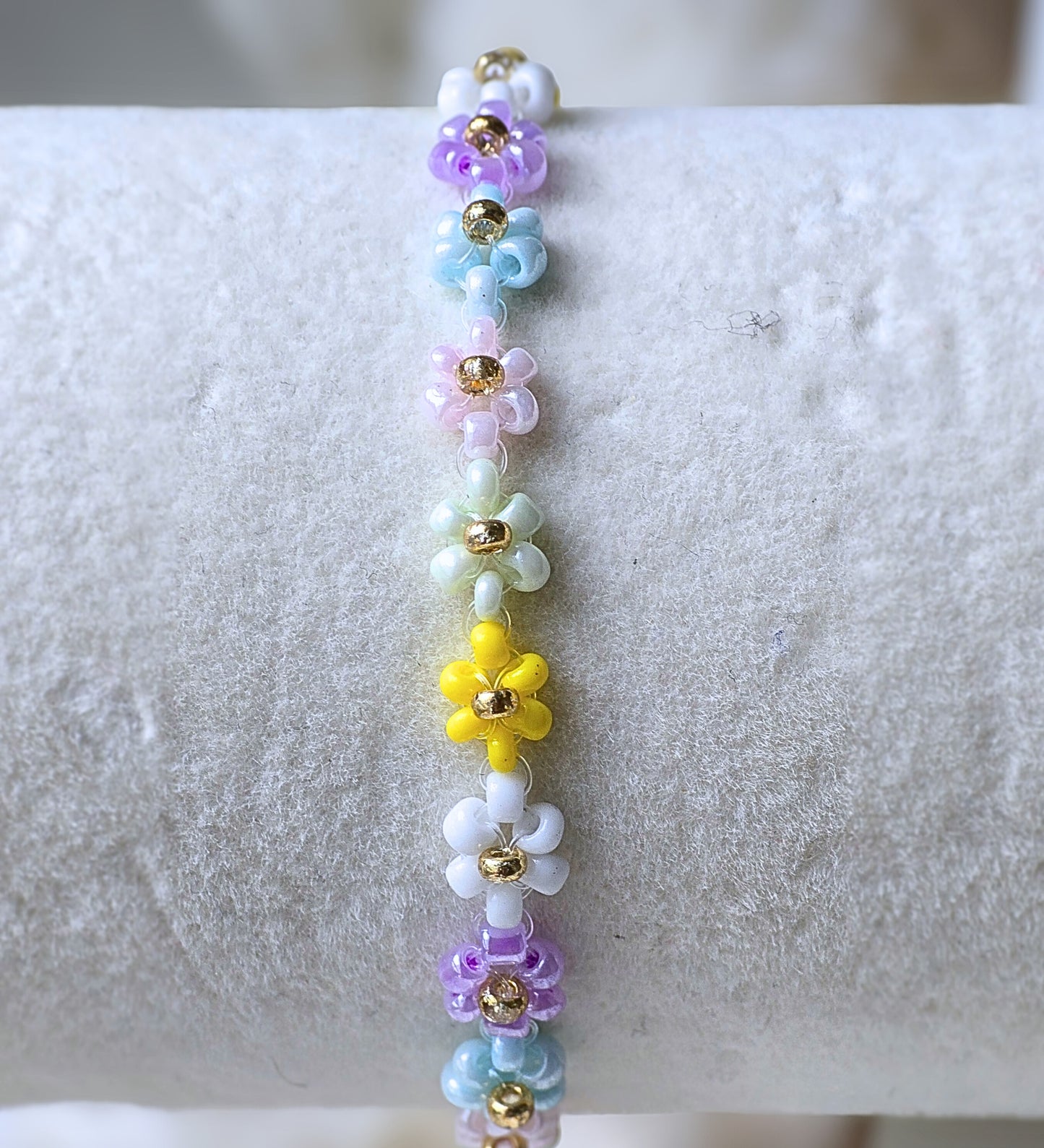Daisy Garden